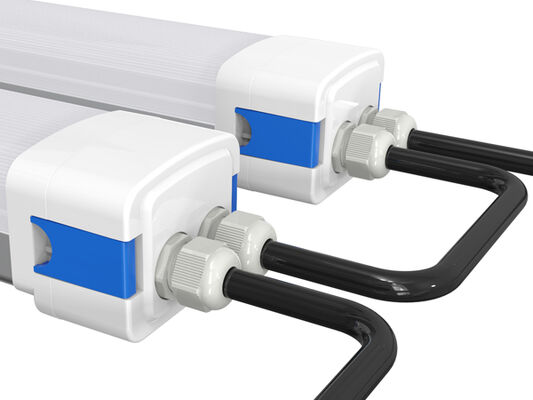 D5 ไฟ LED กันความชื้น พร้อมพลังงานเปลี่ยน DIP และ 3CCT 3/5*1.5/2.5mm2