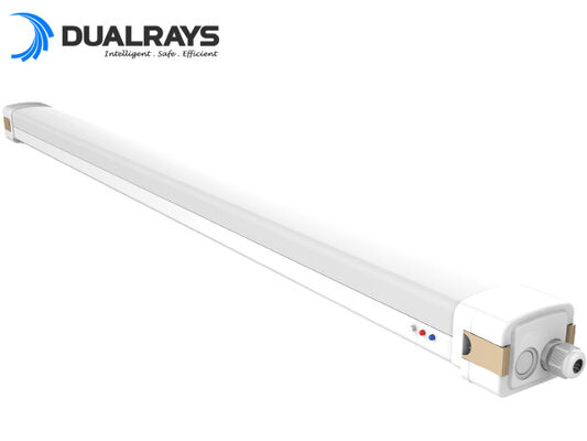 ไฟ LED กันความชื้น DUALRAYS D5 พร้อมสวิตช์ DIP เลือกกำลังไฟ/3CCT และเดินสายไฟแบบทะลุ