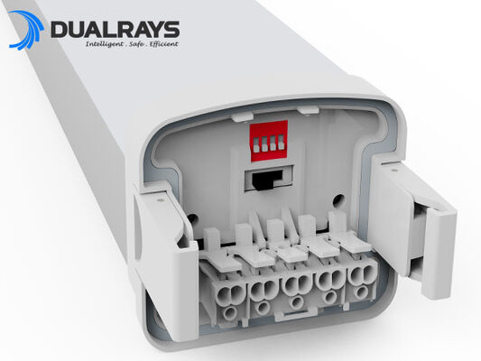ไฟ LED กันความชื้น DUALRAYS D5 พร้อมสวิตช์ DIP เลือกกำลังไฟ/3CCT และเดินสายไฟแบบทะลุ