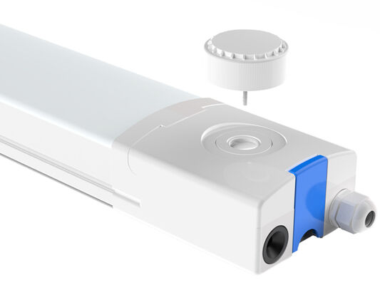 D4 ไฟ LED กันความชื้นกับ DIP ปรับเปลี่ยนพลังงานและ 3CCT Loop in-out สาย 3 * 1.5 / 2.5mm2 หรือ 5 * 1.5 / 2.5mm2 สายผ่าน