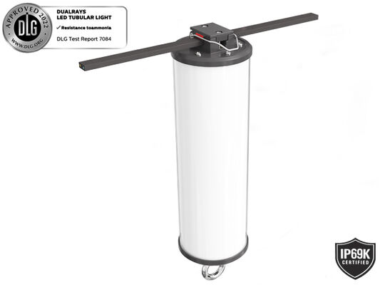 Dualrays D2 Series 50W ไฟ LED Tri Proof LED กลางแจ้งและในร่ม ไฟ LED ตรึง 160LMW 5ft Long