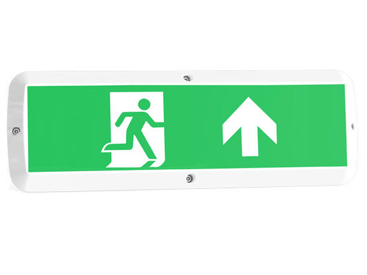 8W Bulk Head LED Porch Light พร้อมฟังก์ชันฉุกเฉินและเซ็นเซอร์การเคลื่อนไหว IP65