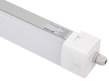 Dualrays D5 50W 5 ฟุต Epistar Led Tri Proof Light IP66 IK10 ไฟ LED ป้องกันการระเบิด 160lmw ประสิทธิภาพ