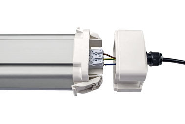 Dualrays D5 50W 5 ฟุต Epistar Led Tri Proof Light IP66 IK10 ไฟ LED ป้องกันการระเบิด 160lmw ประสิทธิภาพ