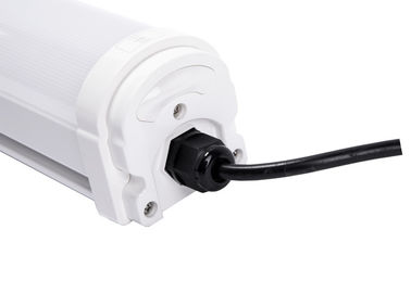 ไฟ LED กันน้ำ Tri-Proof แบบลิเนียร์ที่เชื่อมโยงได้ IP65 AC100-277V