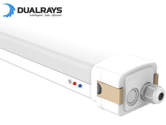 DUALRAYS Europe Stocking UFO High Bay Lamp จัดส่งตรงไปยังเนเธอร์แลนด์ บริการหลังการขายที่รวดเร็วและในพื้นที่